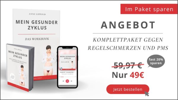 Mein gesunder Zyklus Buch Workbook Album Anne Lippold