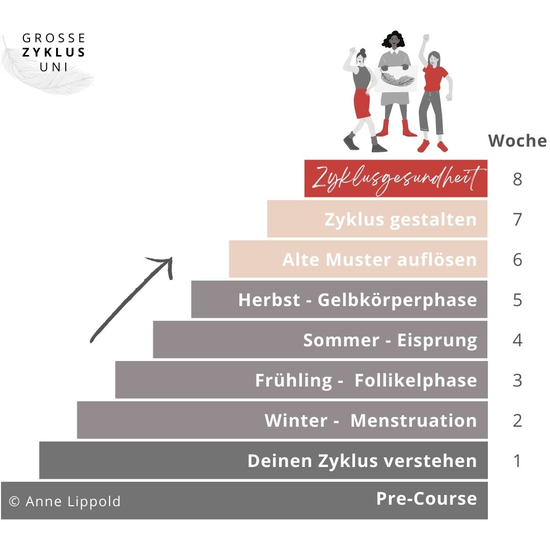 Grosse-Zyklus-Uni-Wochen-Aufbau